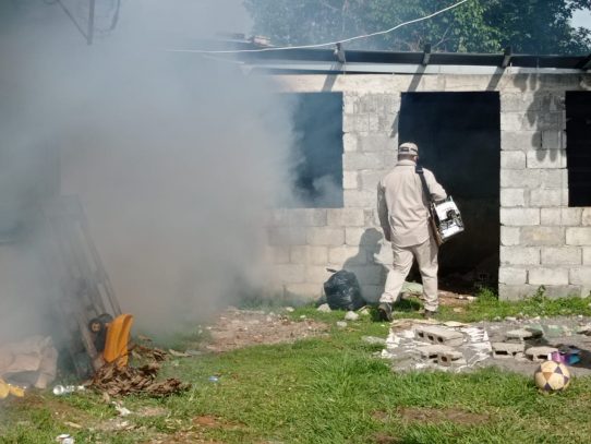MINSA advierte sobre proliferación del mosquito Aedes aegypty en Chiriquí