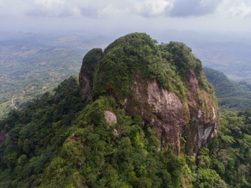 Miambiente usa tecnología satelital para detectar tala ilegal en el Darién