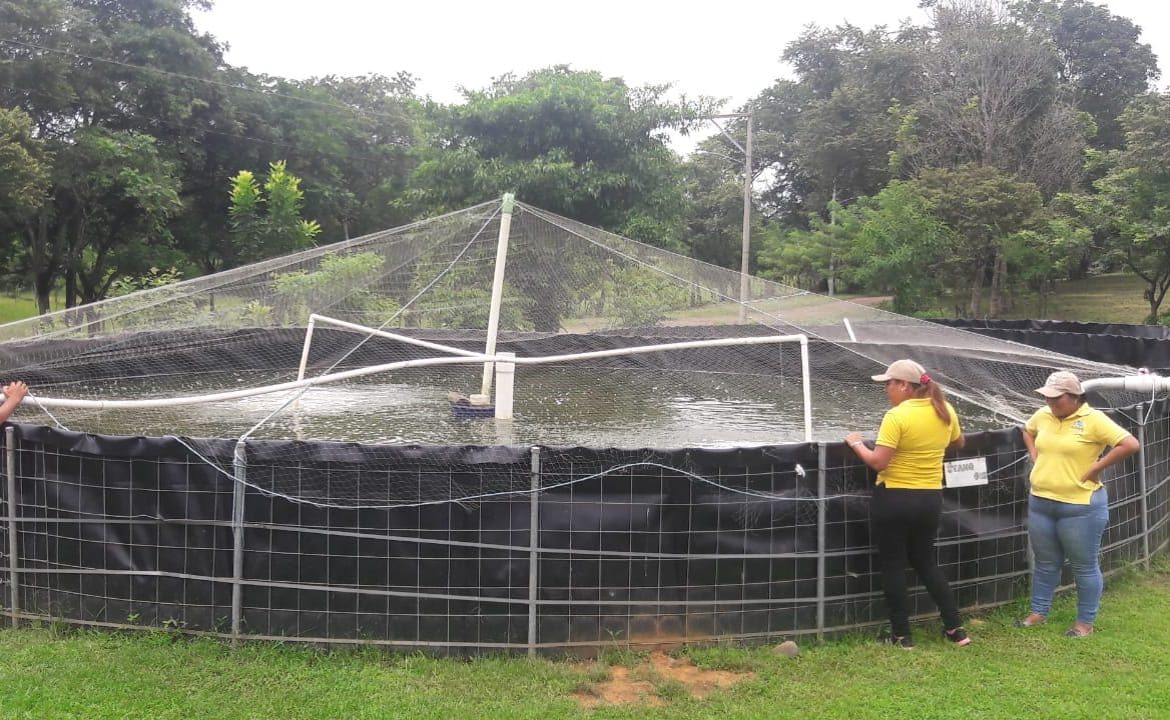 Fincas dedicadas a la acuicultura serán censadas por el INEC