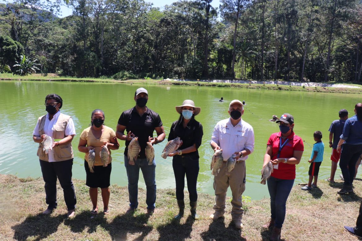 ARAP y Cobre Panamá apoyan a acuicultores colonenses