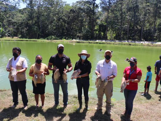ARAP y Cobre Panamá apoyan a acuicultores colonenses