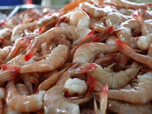 Inició el segundo periodo de veda del camarón en todo el país
