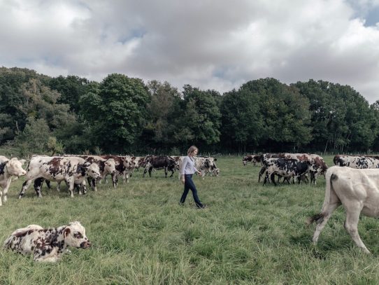 Los futuros agricultores de Francia son expertos en tecnología y quieren descansar los fines de semana
