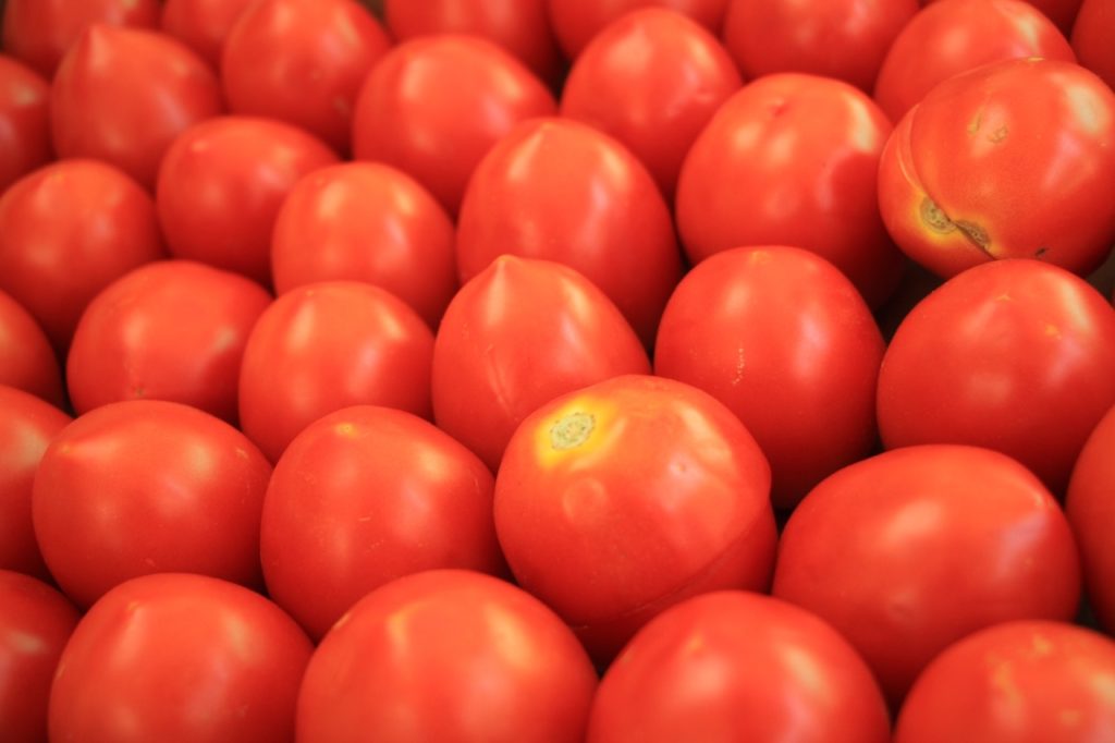 Gabinete aprobó importación de 1,200 toneladas de pasta cruda o pulpa de tomate