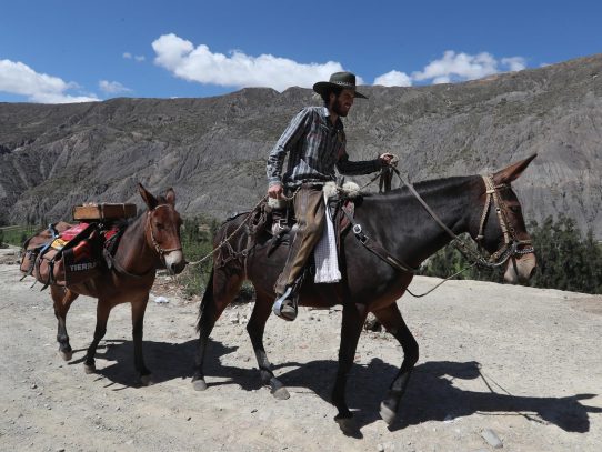 La travesía de un colombiano que recorre en mula la antigua ruta Qhapaq Ñan