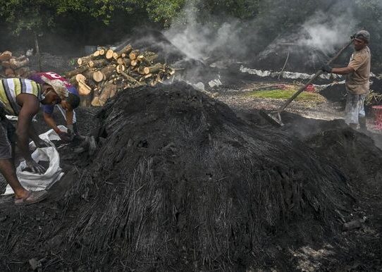 Proteger el planeta o salvar el empleo, el dilema de los carboneros en Panamá