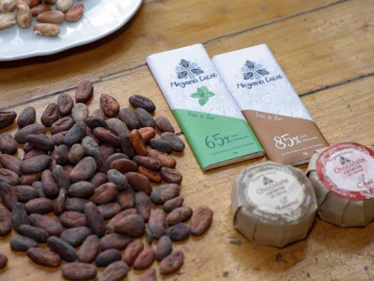 Cacao panameño posicionado y premiado en Cocoa of Excellence Awards 2021
