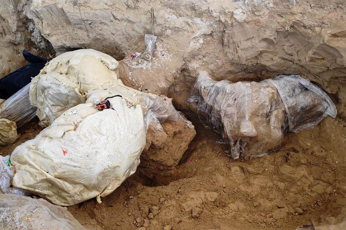 Encuentran restos de un mamut de hace más de 10.000 años en centro de México