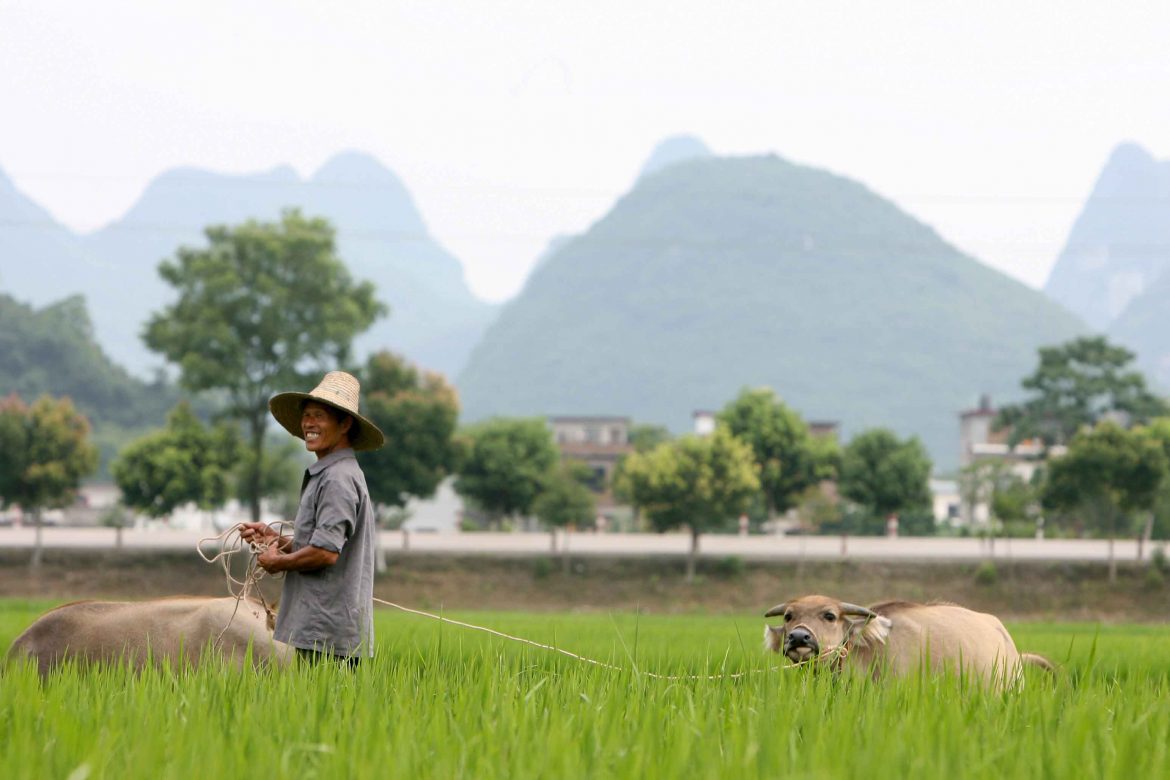 Granjeros pagan la ambición verde de China antes de Pekín-2022