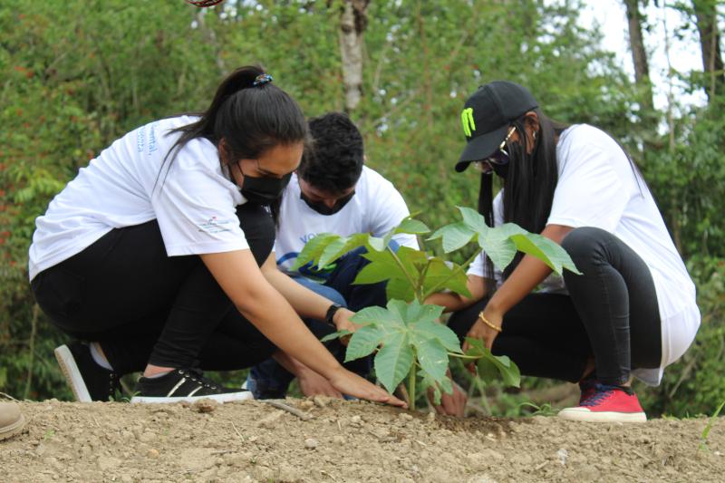 Educación ambiental: la clave para un Panamá sostenible y resiliente
