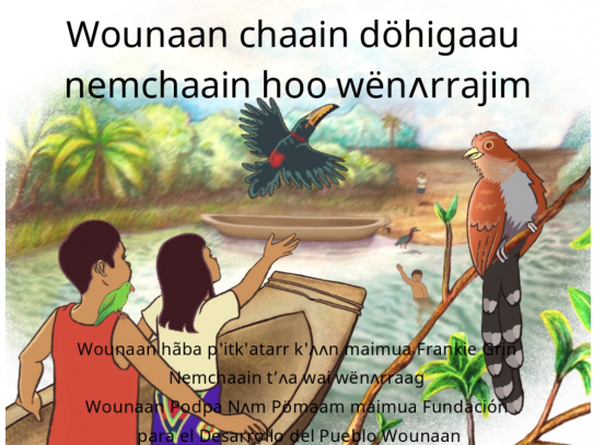 Durante su aventura, los niños Wounaan vieron muchas aves