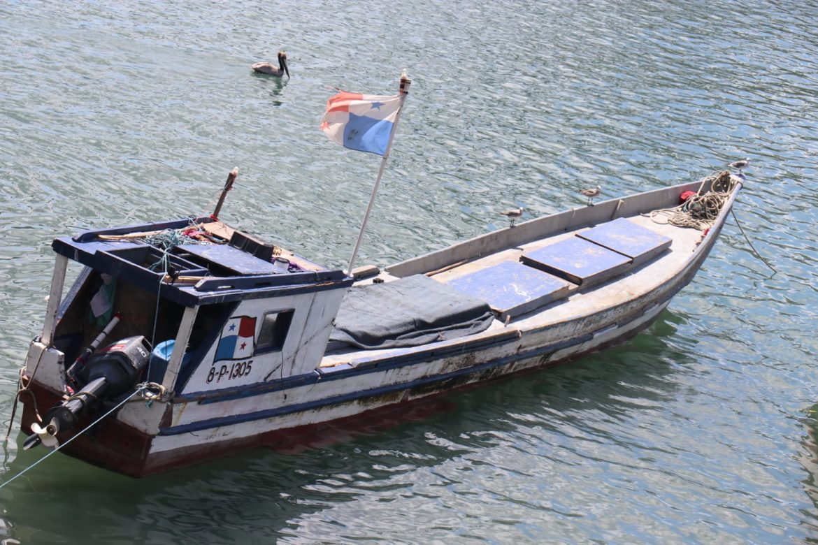 Sancionan embarcación artesanal por pesca ilegal debajo del Puente de Las Américas