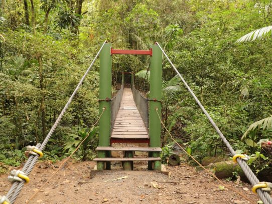 Reabre sus puertas al público el sendero natural El Charco en el parque Soberanía