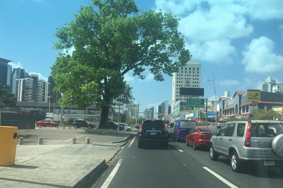 Árboles y plantas son desplazadas por vidrio y cemento en la ciudad de Panamá