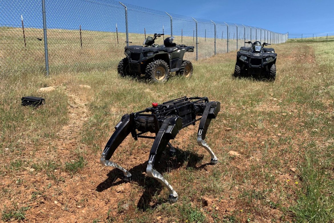 "Perros robot", los nuevos "agentes" migratorios de la frontera con México