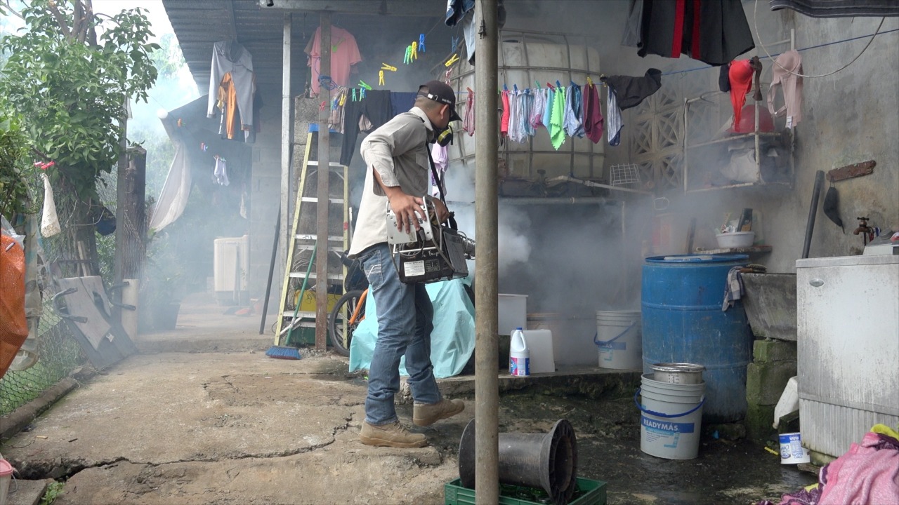 Cinco casos confirmados y nueve sospechosos de dengue en Felipillo