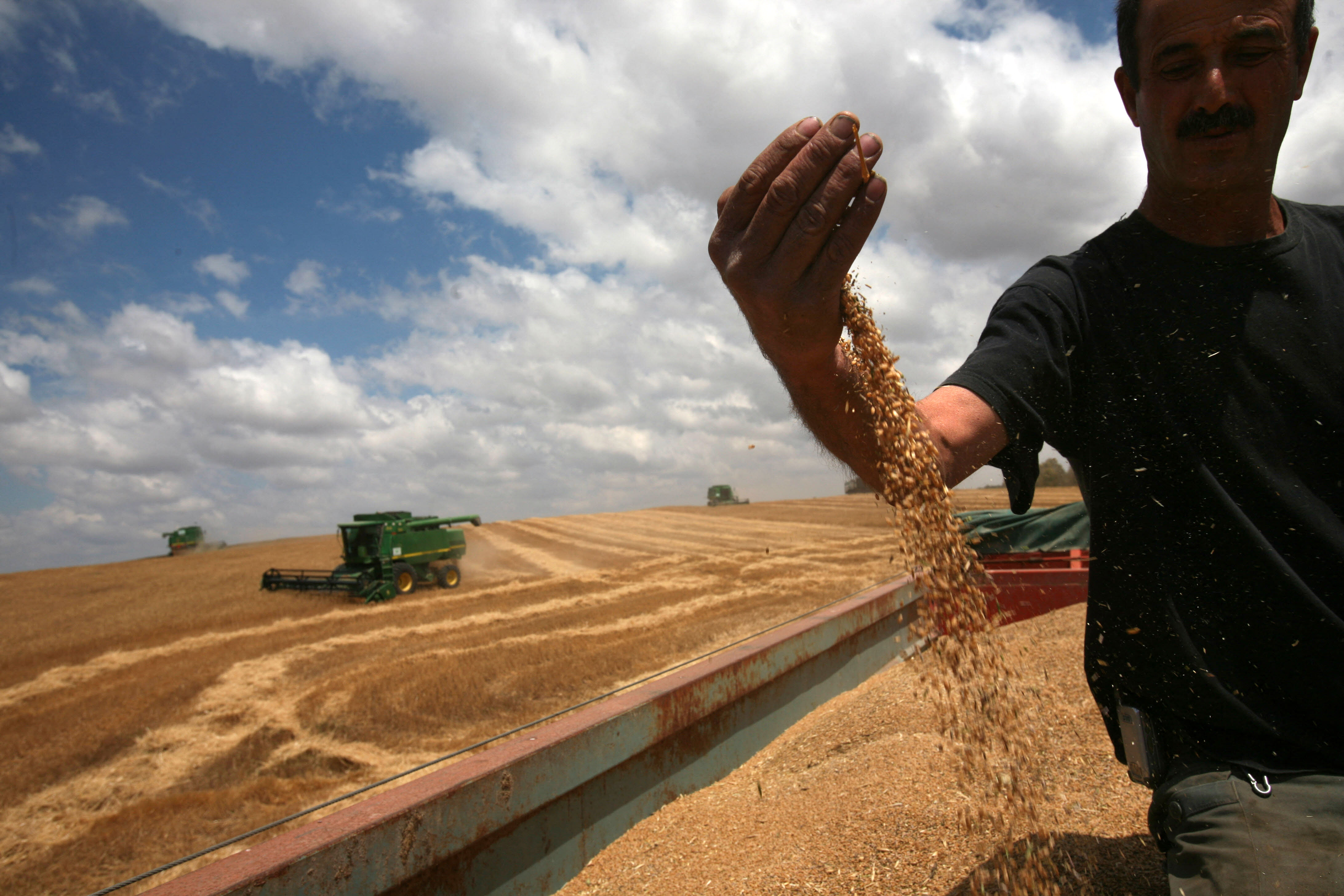 USDA vuelve a recortar estimaciones de exportaciones de trigo y maíz de Ucrania