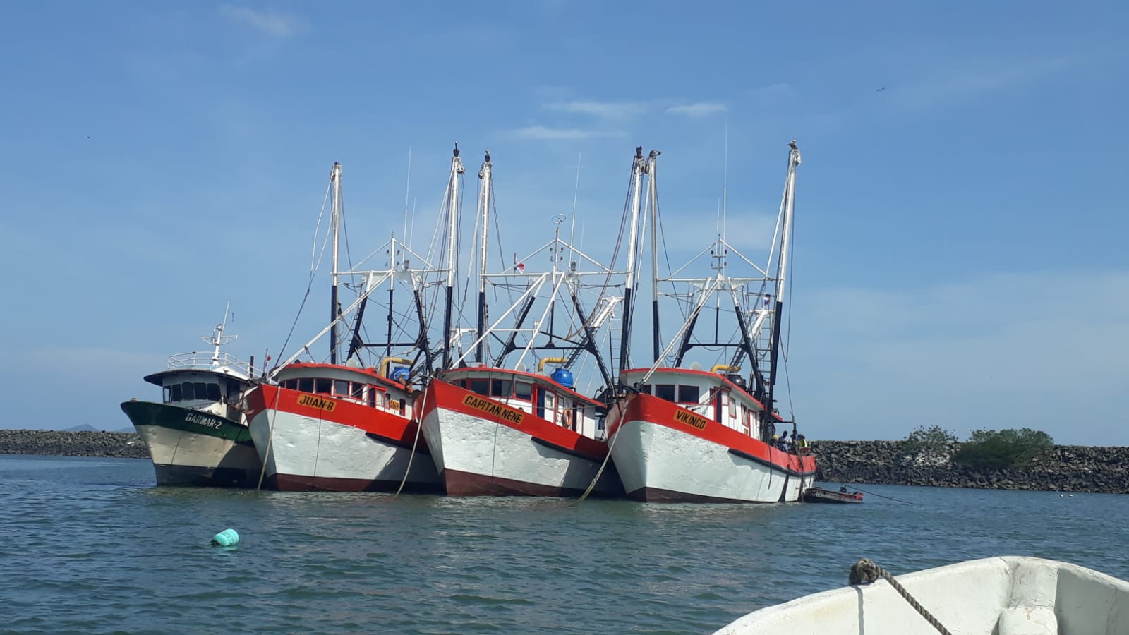 Barcos camaroneros se preparan para partir a altamar con la culminación de la veda del camarón
