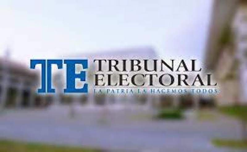 Tribunal Electoral: Disponible Manual para candidatos por libre postulación