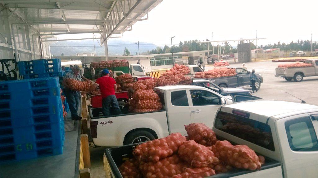 Transportistas de carga agrícola anuncian paro