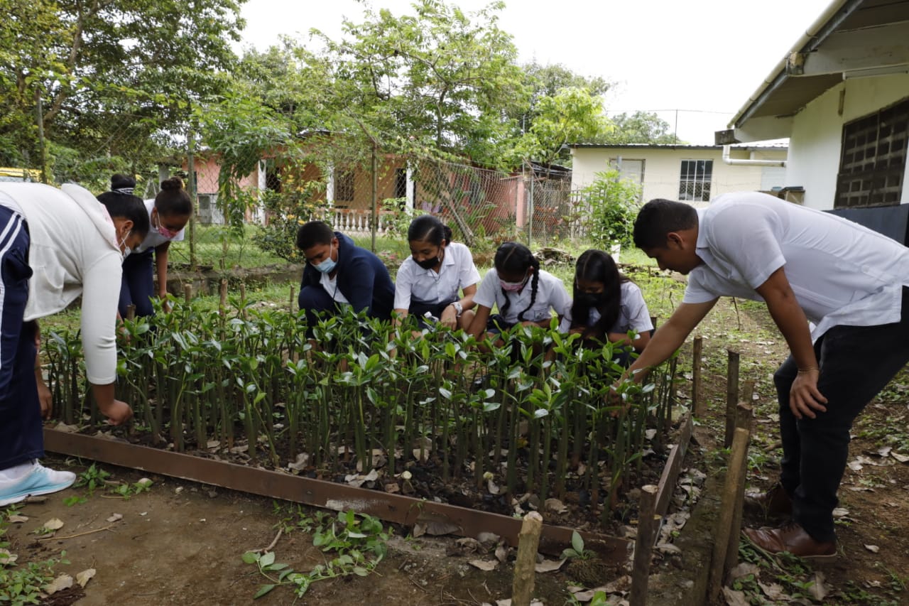 Unos 75 centros escolares del país se preparan para la reforestación de manglares