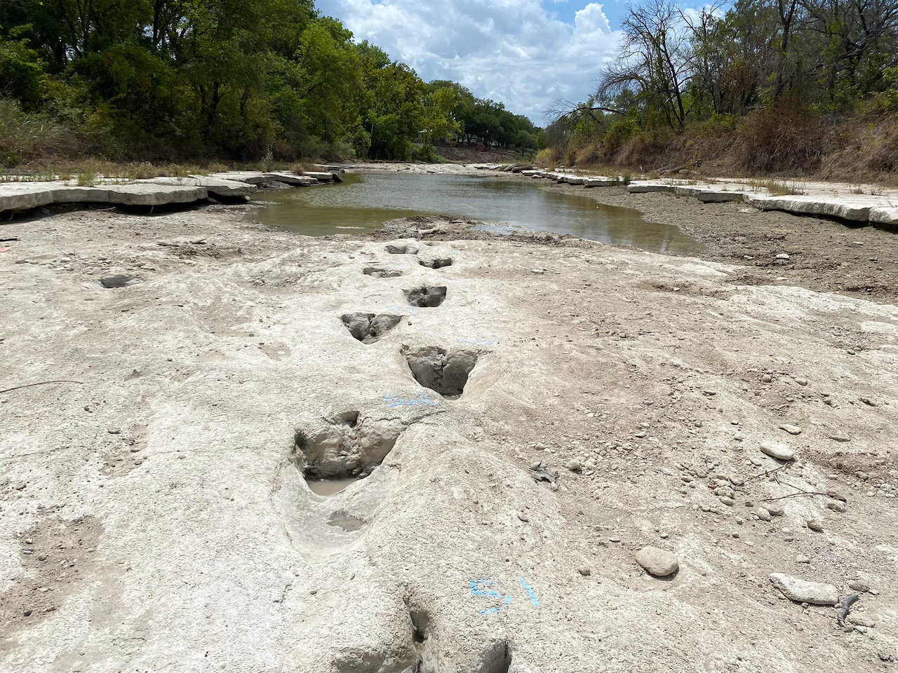 El descenso en los niveles del agua produce un nuevo hallazgo: huellas de dinosaurio en Texas