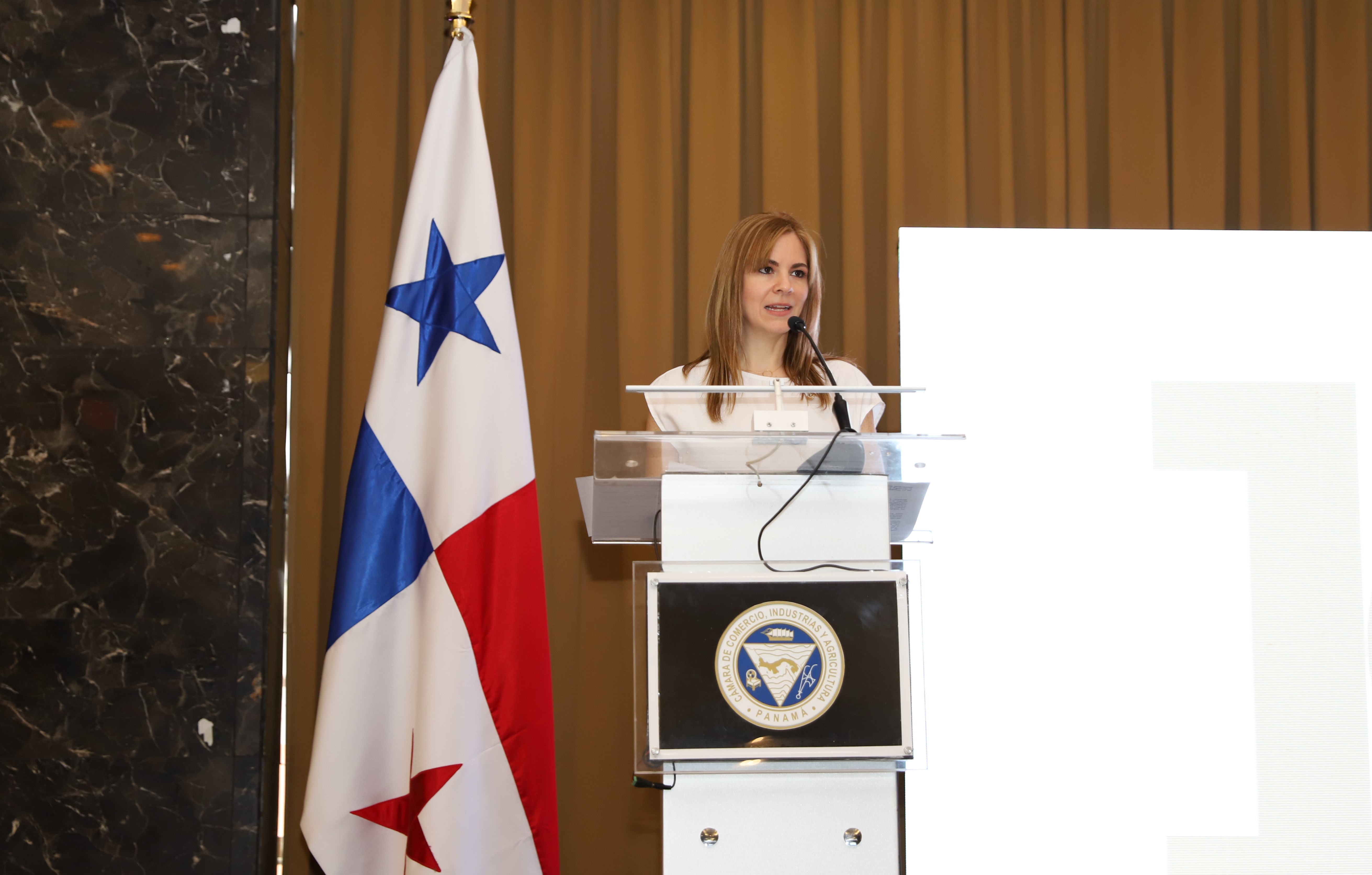 'Panamá necesita urgentemente reformas de fondo', dice la CCIAP