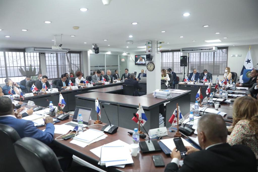 Carrizo sustentó hoy presupuesto 2023 del Ministerio de la Presidencia en Comisión de Presupuesto