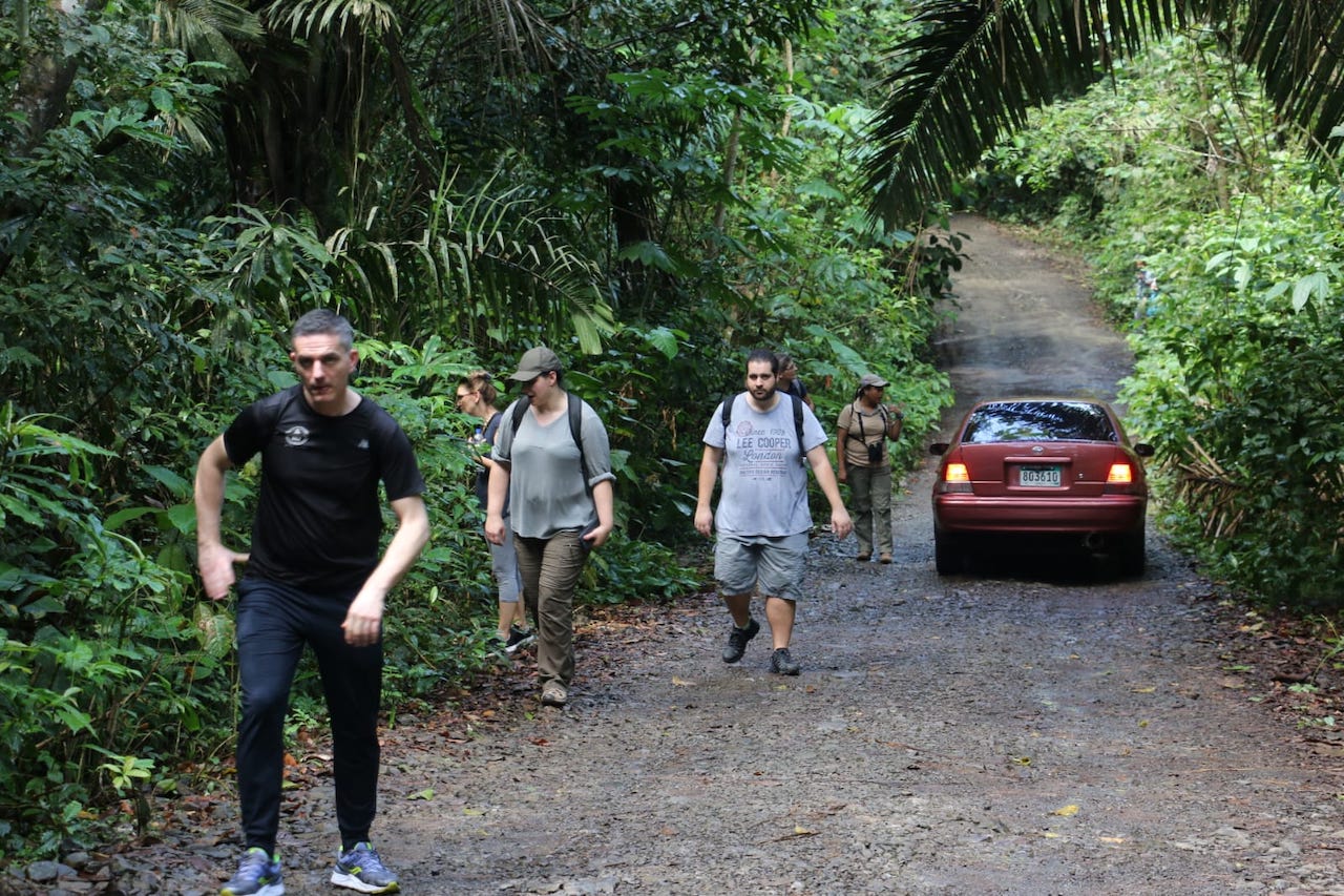 Realizan mejoras en Sendero Camino del Oleoducto,  ubicado en el Parque  Nacional Soberanía