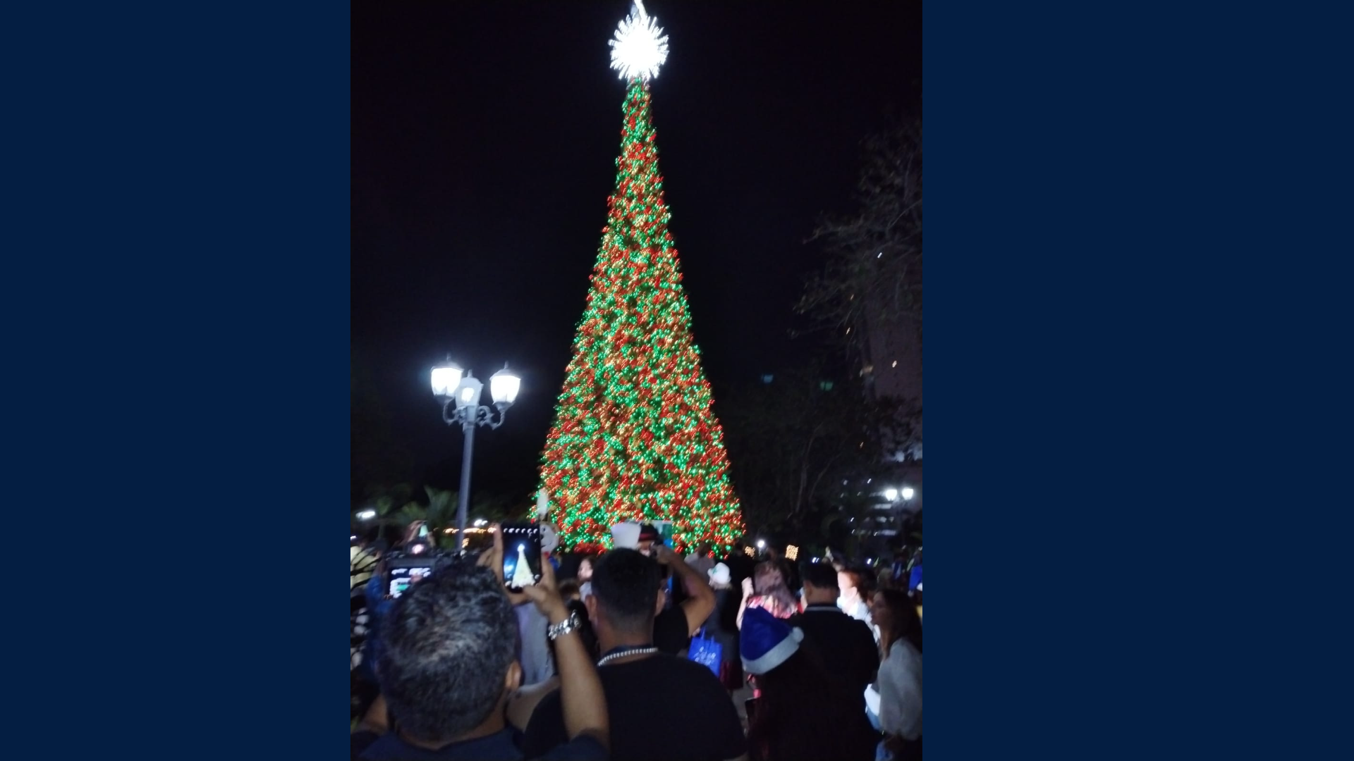 Árbol de Navidad en el Parque Omar, para disfrutar de la magia de compartir