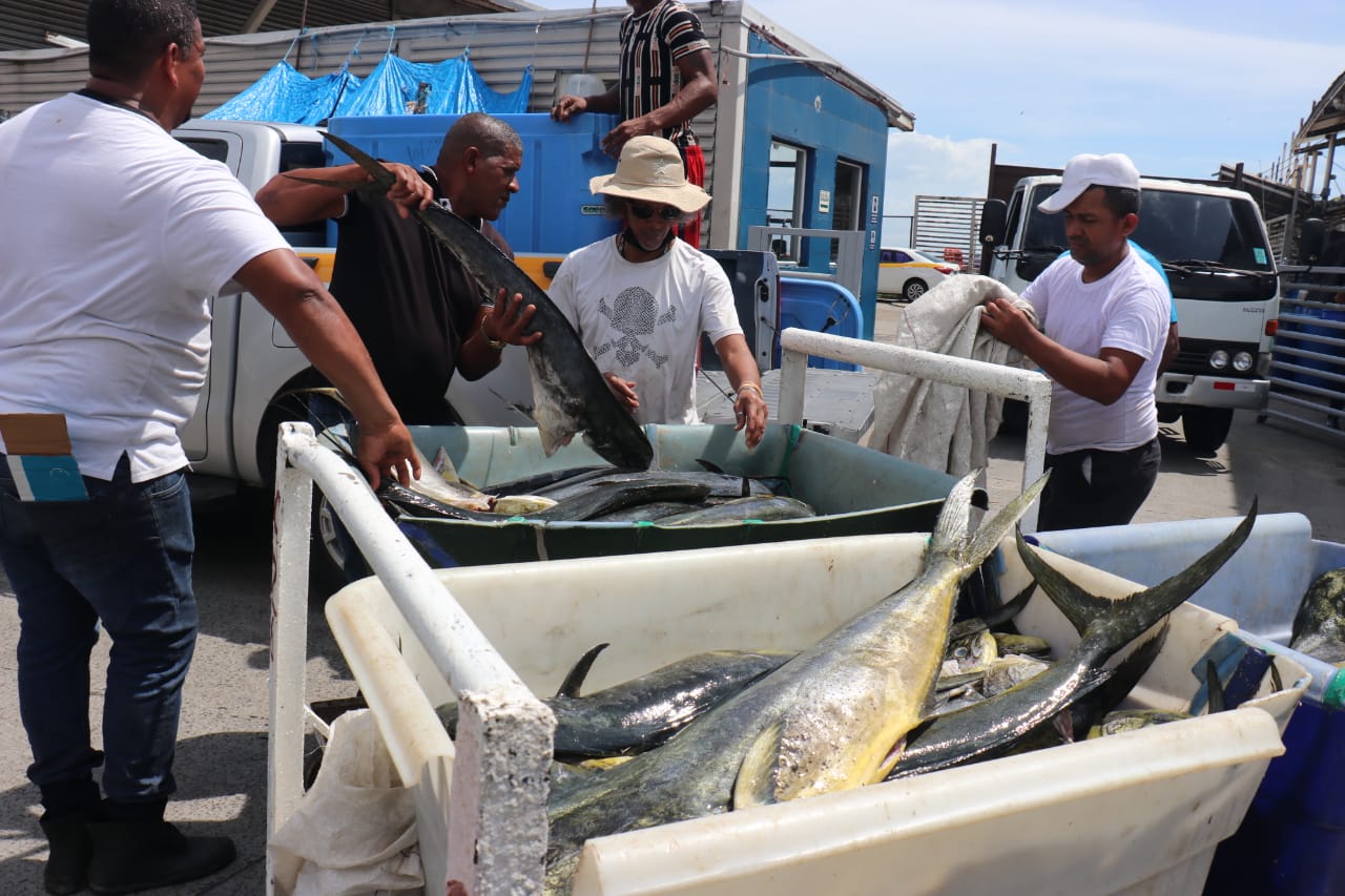 Órgano Ejecutivo crea Centro para Monitoreo sobre pesca ilegal, preservación y protección del ecosistema marino