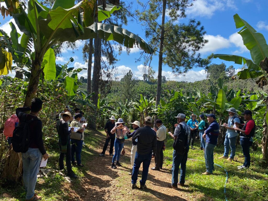 Panamá y Costa Rica intercambian experiencias sobre producción de café y cacao