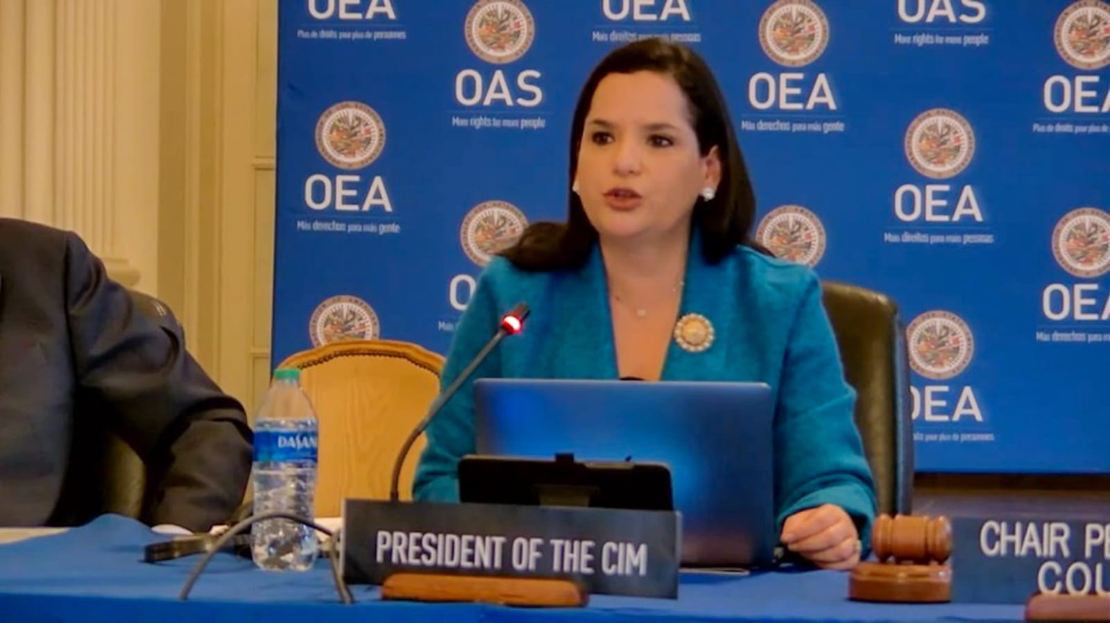 Ministra del MIDES en calidad de presidenta de la CIM participó en Consejo Permanente de la OEA
