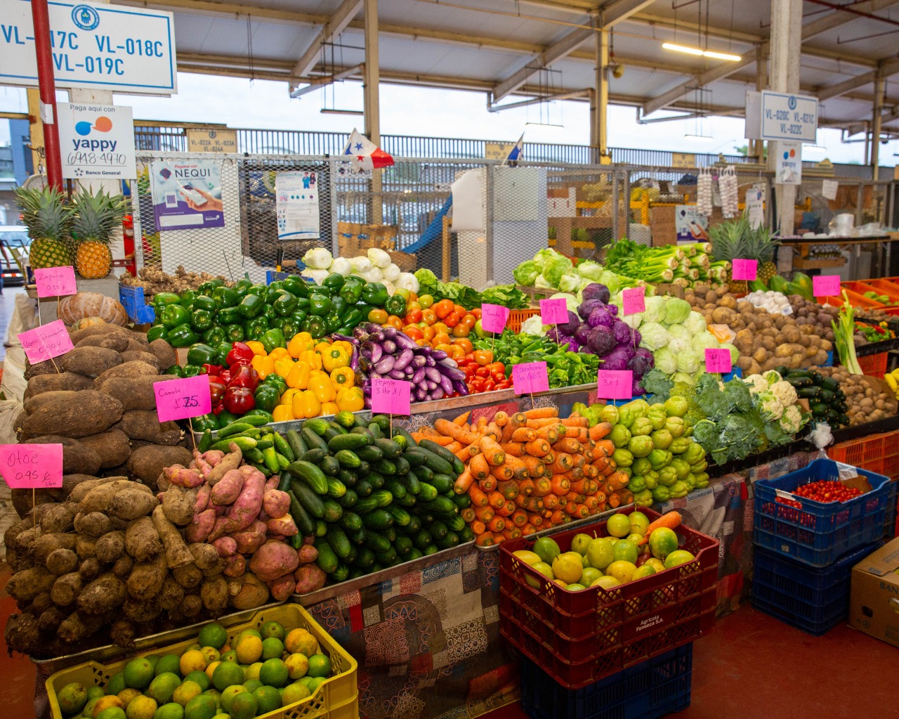 Alimentos, transporte y servicios básicos registran caída en los precios al consumidor