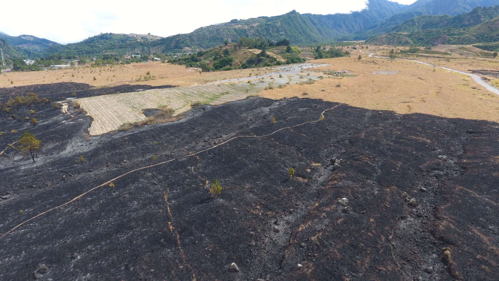 Incendio de masa vegetal afectó 11 hectáreas en el Parque Nacional Volcán Barú