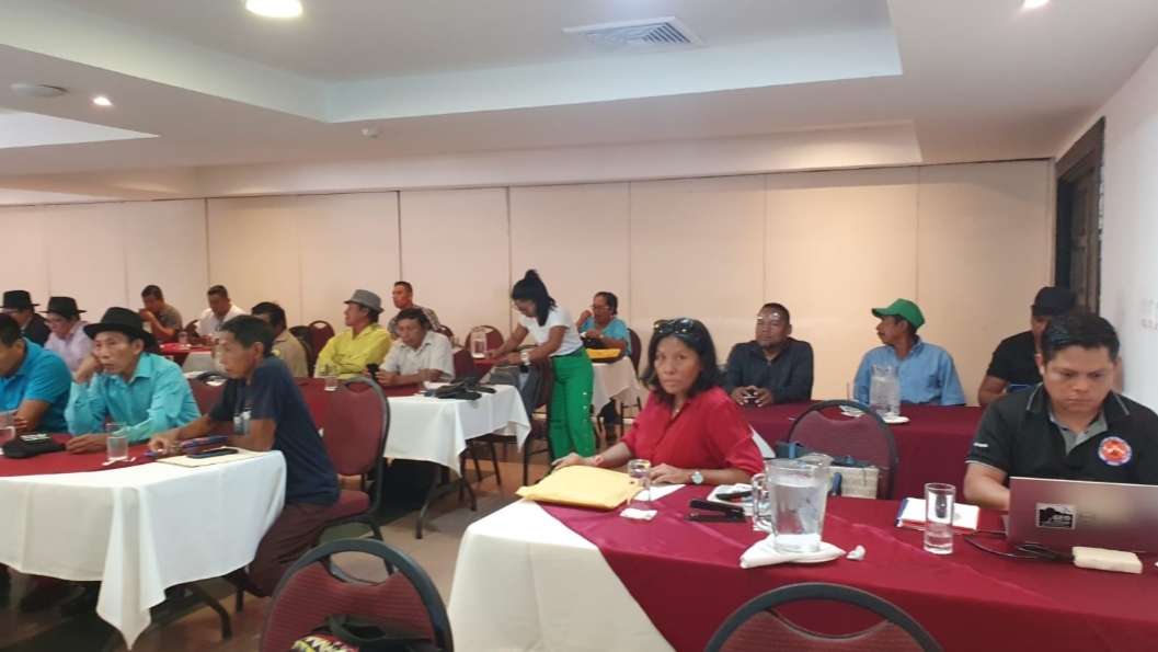 Molestia de líderes indígenas por inasistencia del ministro de Ambiente a una reunión