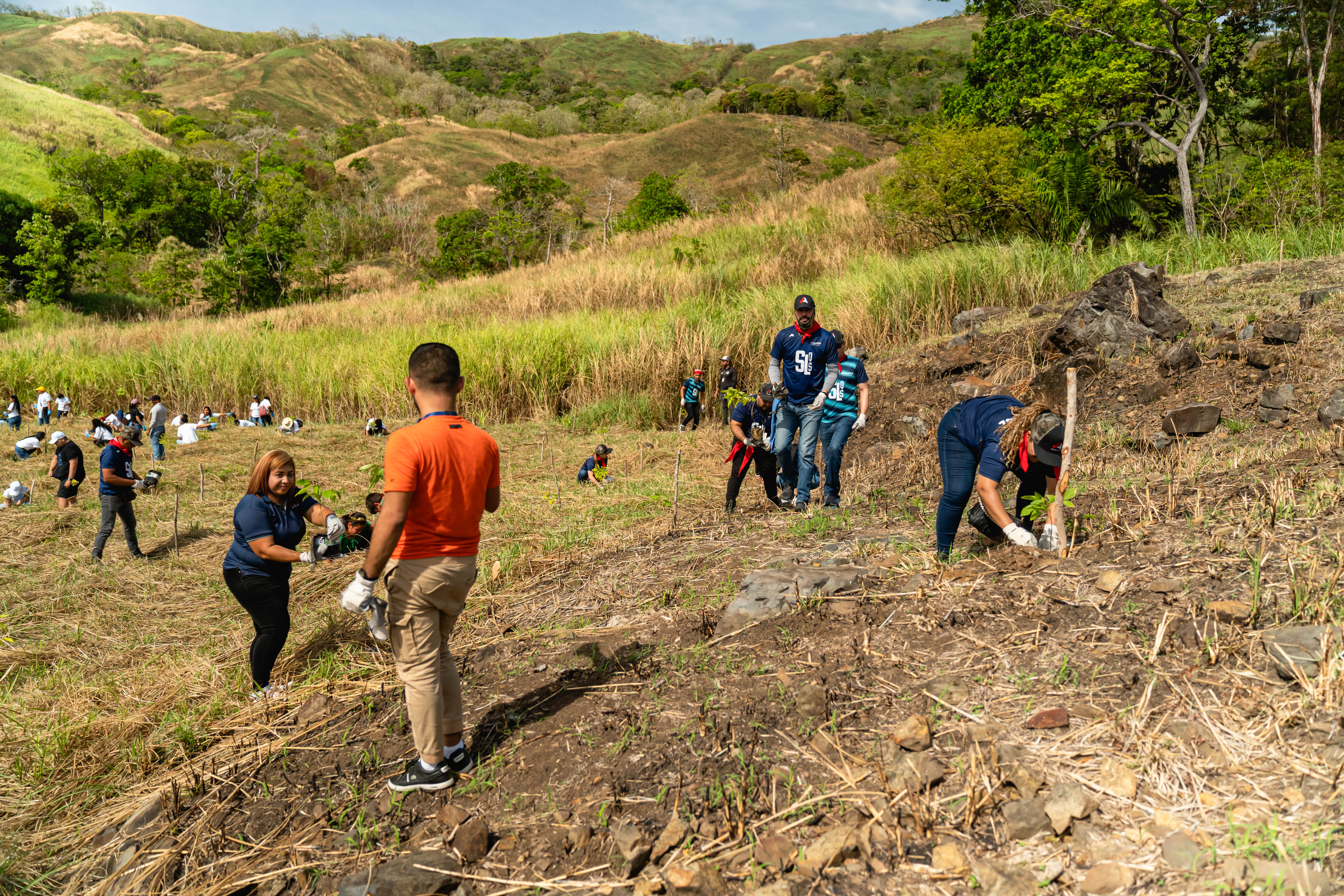 Celebraron Día de la Tierra con reforestaciones en Panamá Pacífico, vía Panamericana y Metro Park