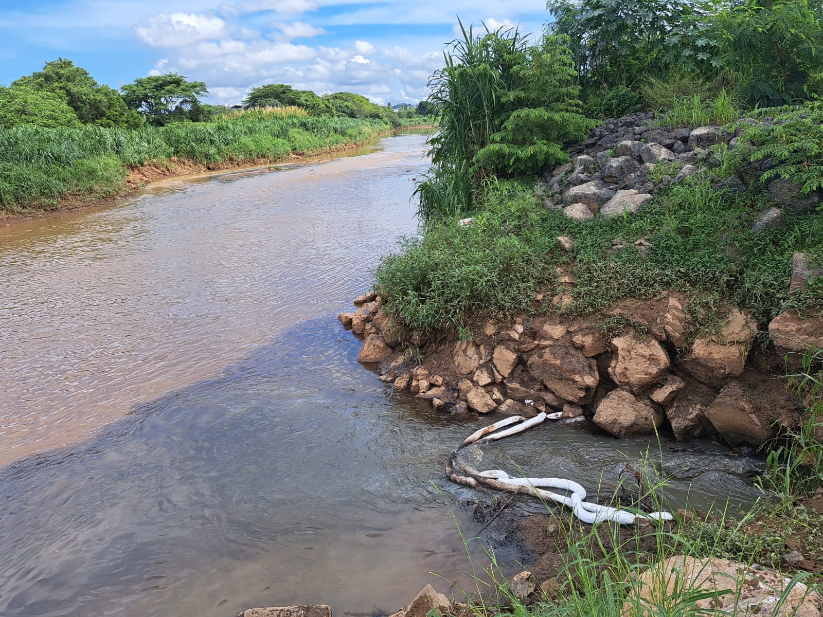 Investigan coloración oscura en río Juan Díaz