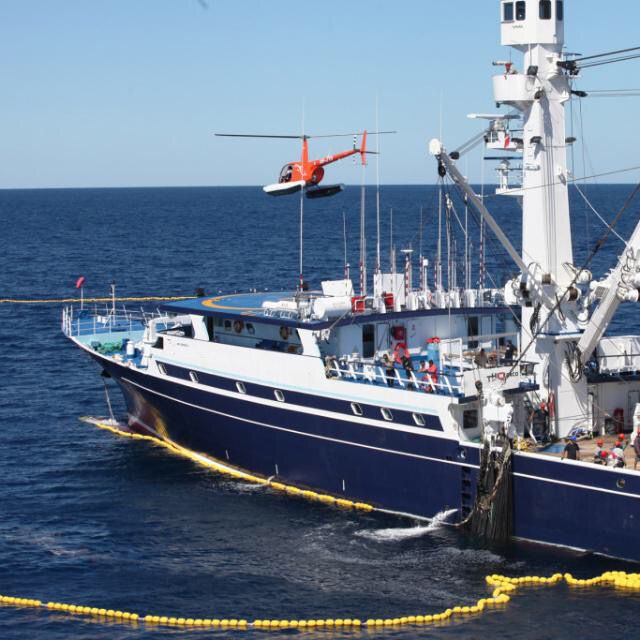 Industria pesquera preocupada por resolución que vulnera seguridad de embarcaciones