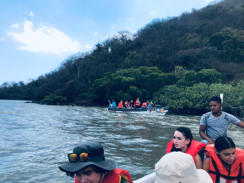 Los manglares pilar de la Economía Azul en Panamá