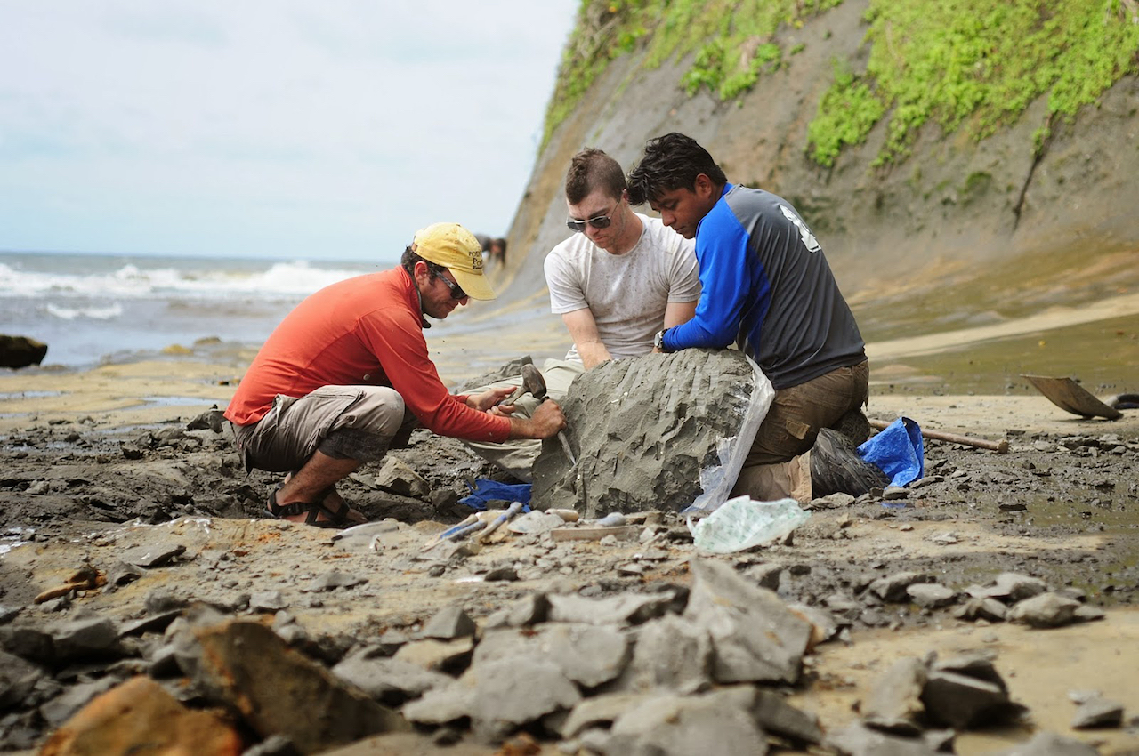 Fósiles marinos revelan historia sobre el pasado profundo de Panamá