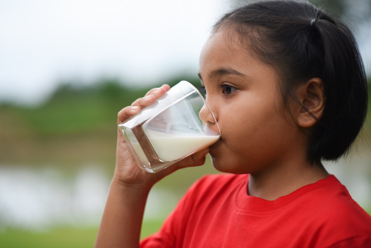 Un mejor rendimiento académico en niños podría estar apoyado en consumo de leche