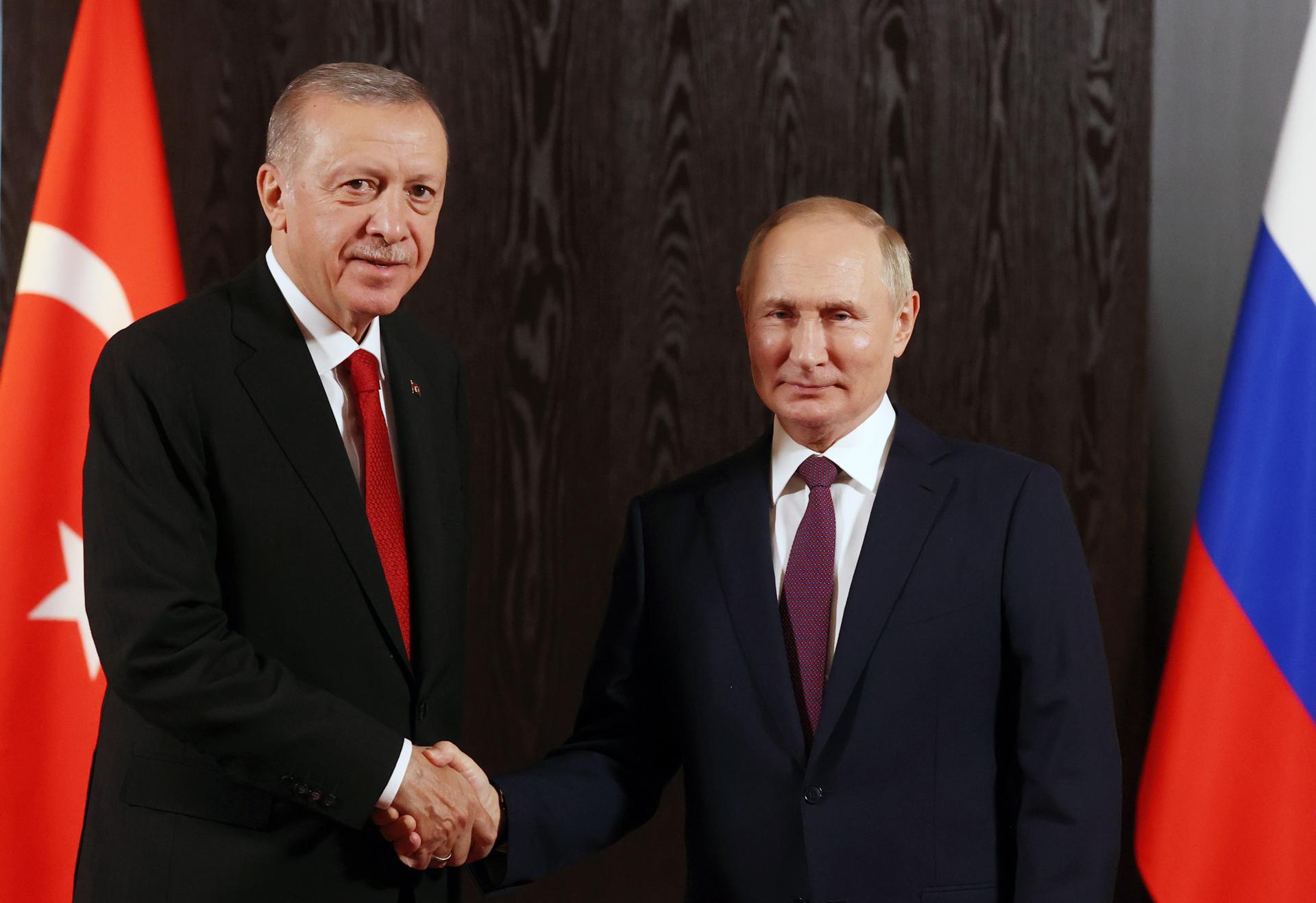 Erdogan dice ante Putin que el mundo espera un "mensaje" sobre el acuerdo del grano