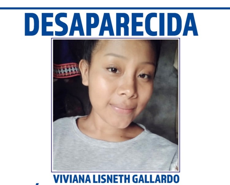 Caso Viviana Gallardo: Sindicado aceptó tres delitos y fue condenado a 28 años de cárcel