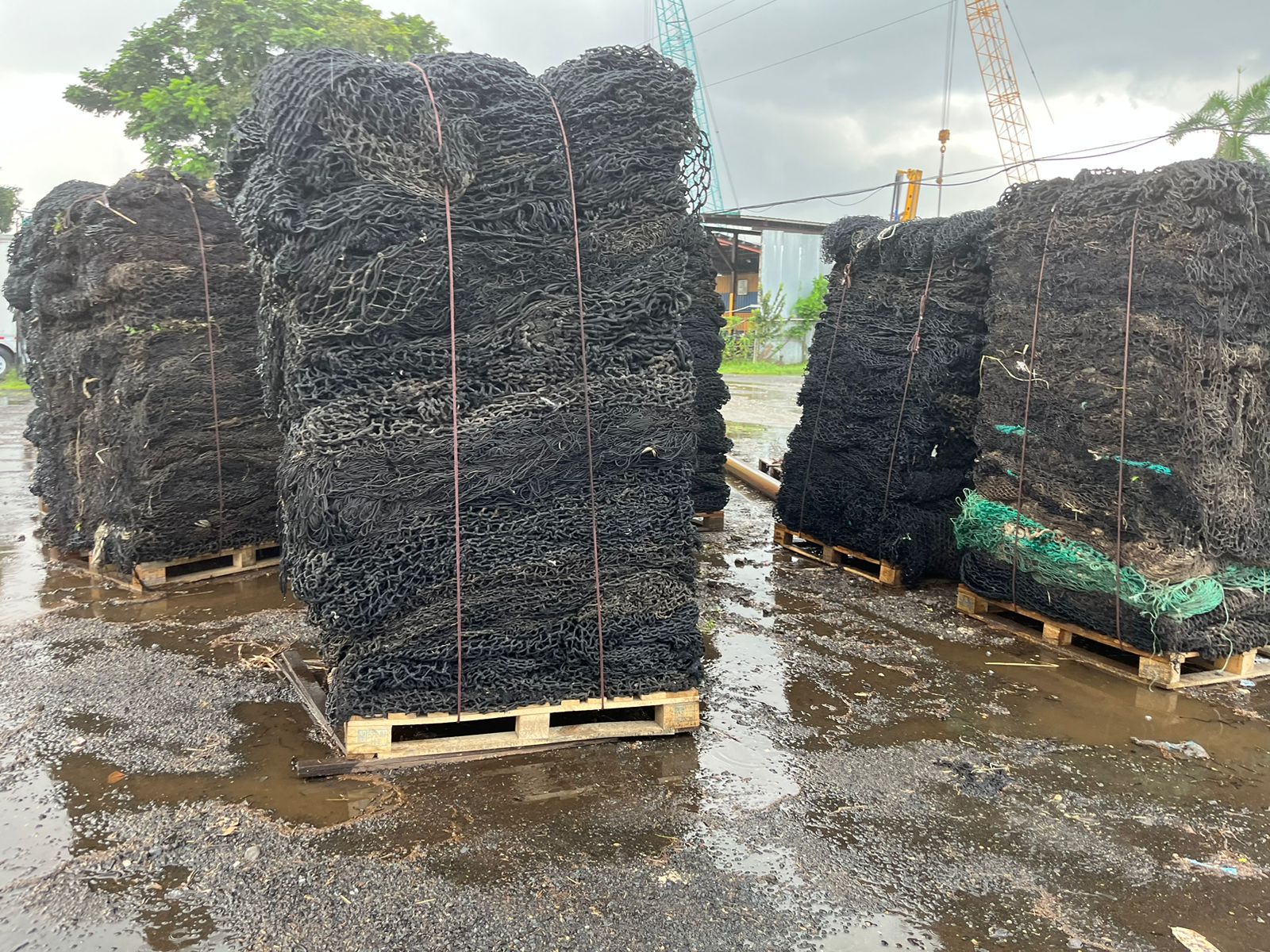 Panamá inició reciclaje de redes de pesca en desuso