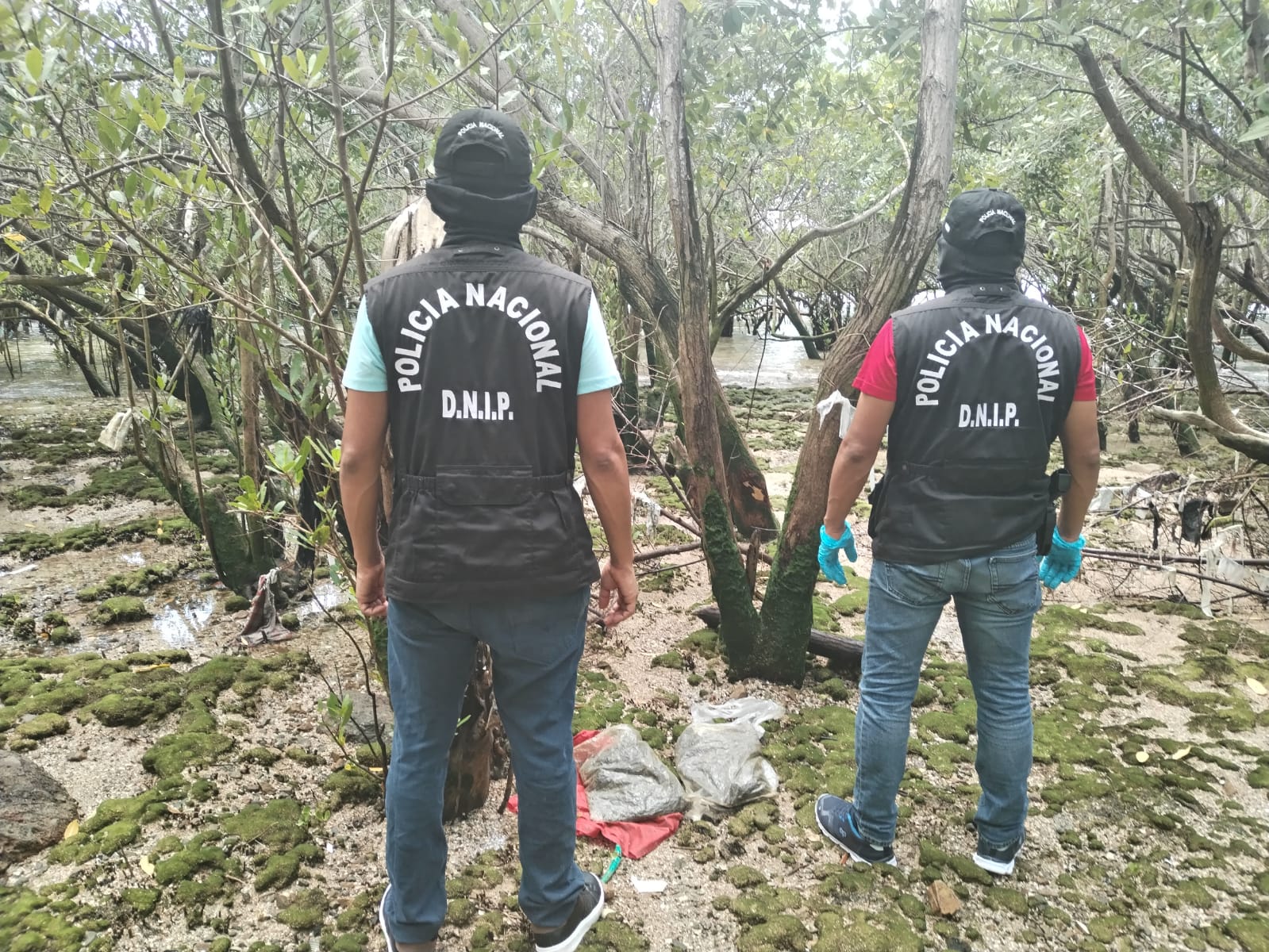 Policía encontró dos bolsas con presunta droga en Veracruz