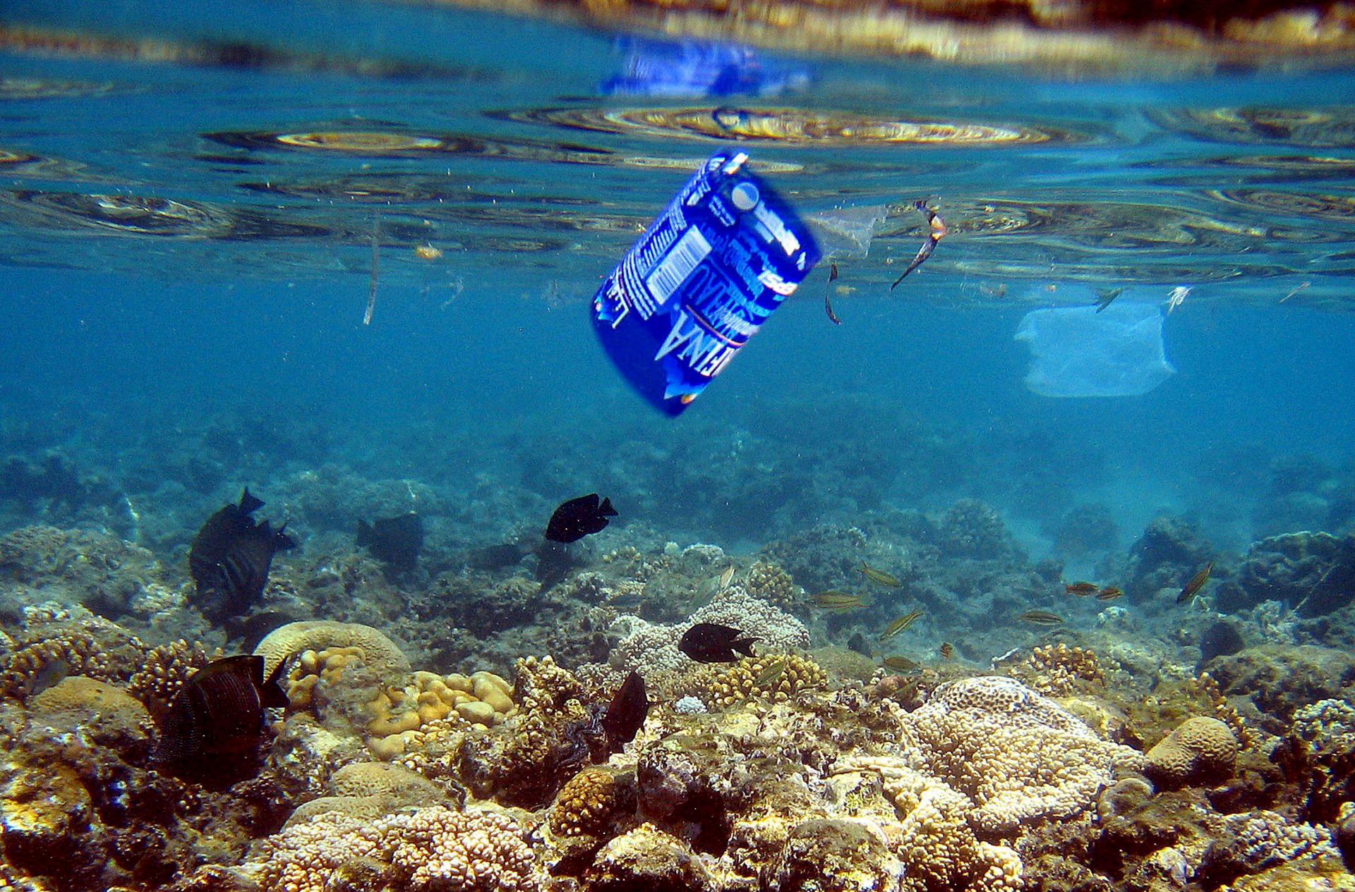 Un millón de toneladas de aditivos plásticos acaban en mar cada año, según informe