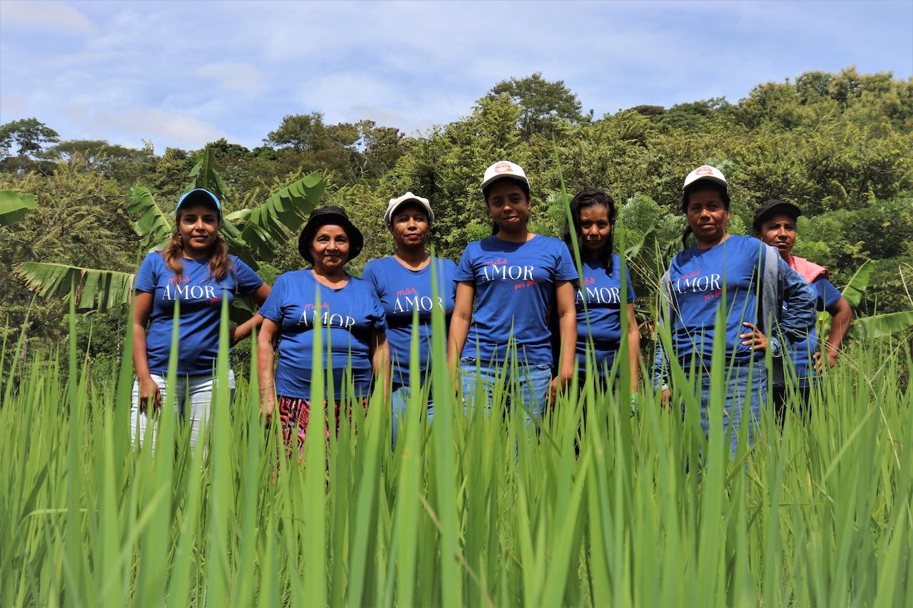 Mujeres hacia agricultura sostenible