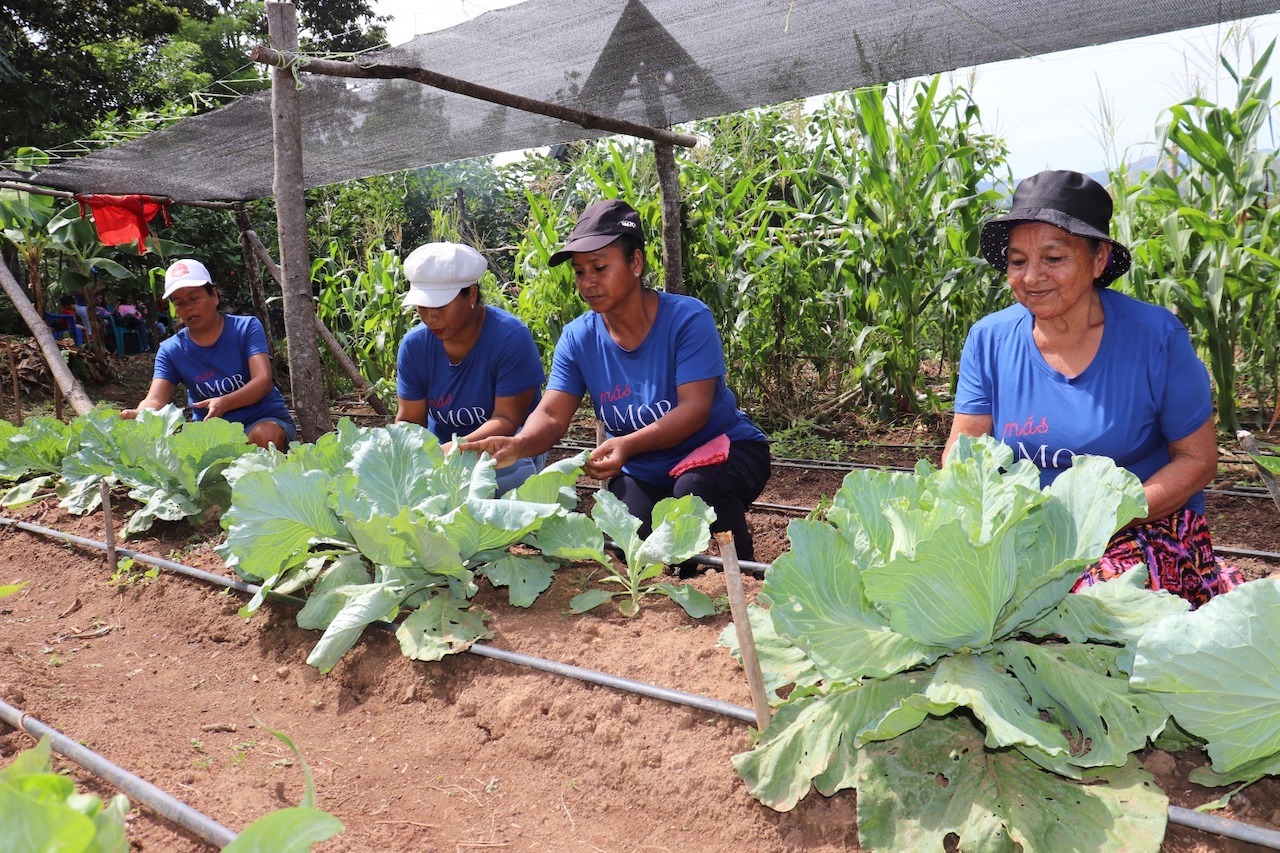 Mujeres rurales aprenden a diversificar sus ofertas de cultivos