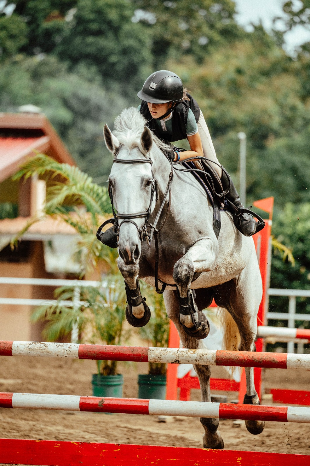 Sofía Ruiz Schuverer, una promesa  de la equitación que comienza a destacarse